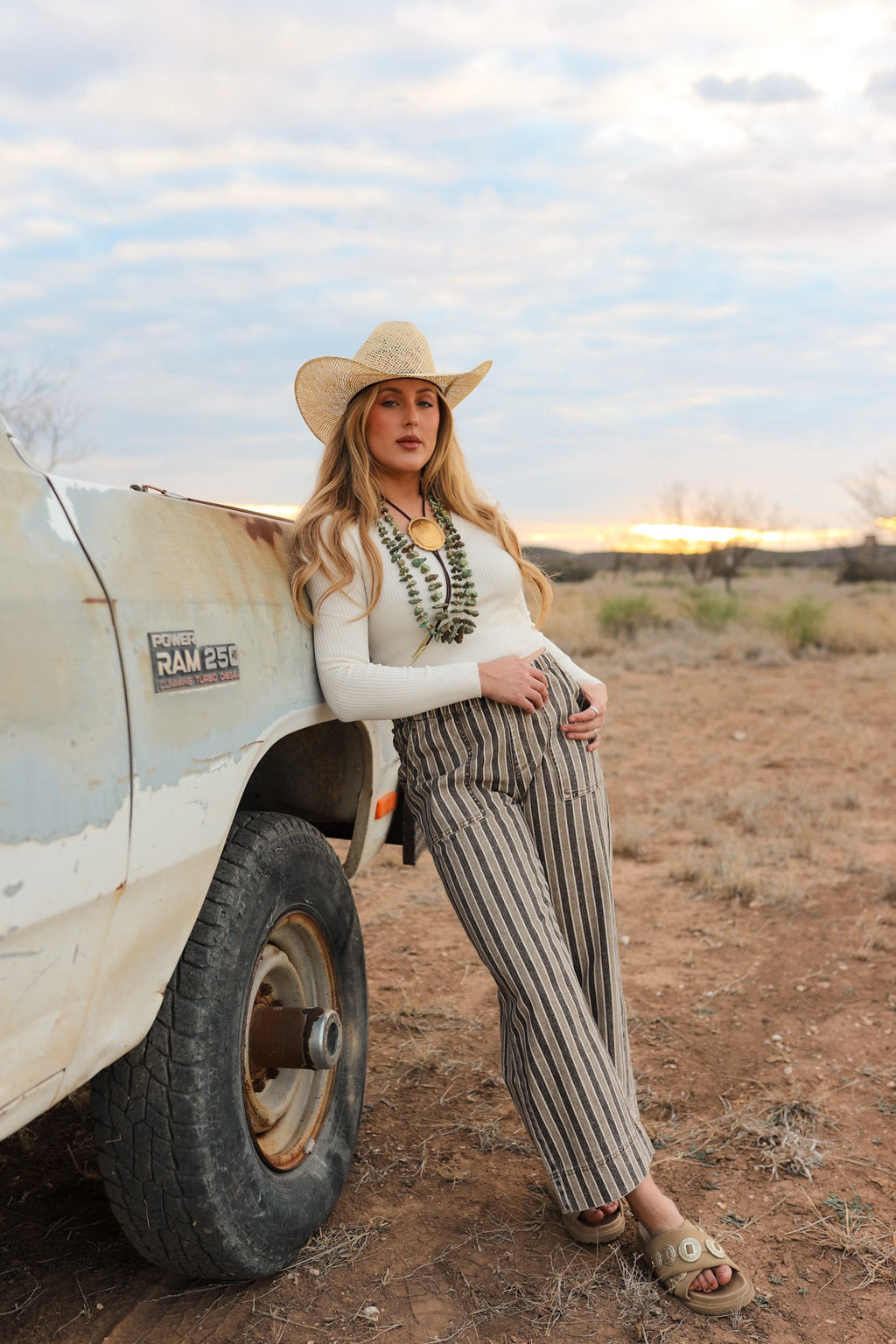 The Striped Denim Pants